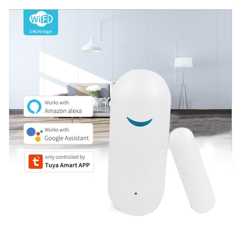 Window Garage Wireless Sensor  - огляд і ціна Wireless Door Sensor